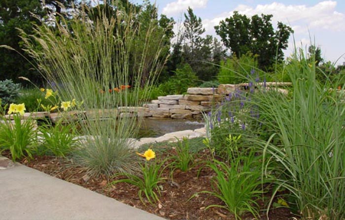 landscape design with small pool and ornamental grass Landscape design with small pool and ornamental grass.