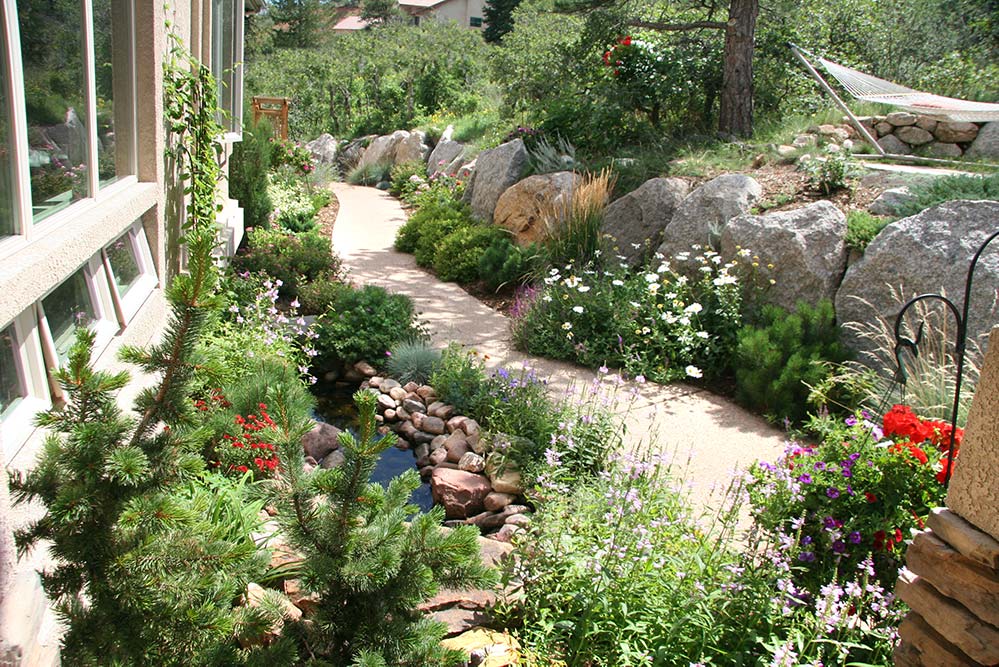 Native Colorado Plants in Residential Garden
