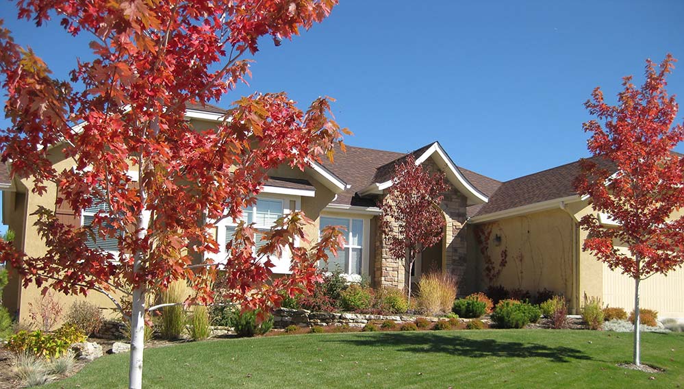 Well maintained Colorado Springs residential landscape in the fall.