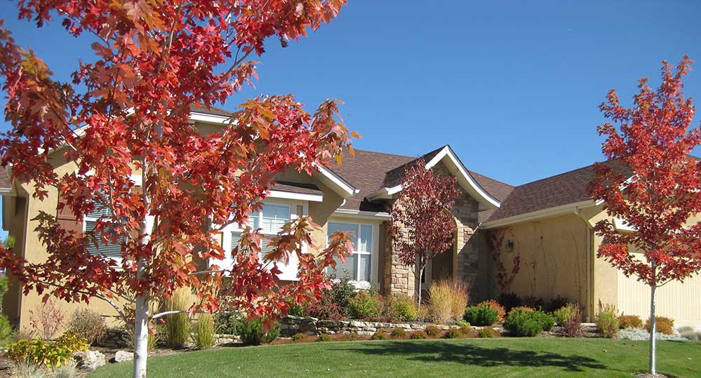 Landscaping Your Home In Colorado Springs, Good Trees For Landscaping Near House