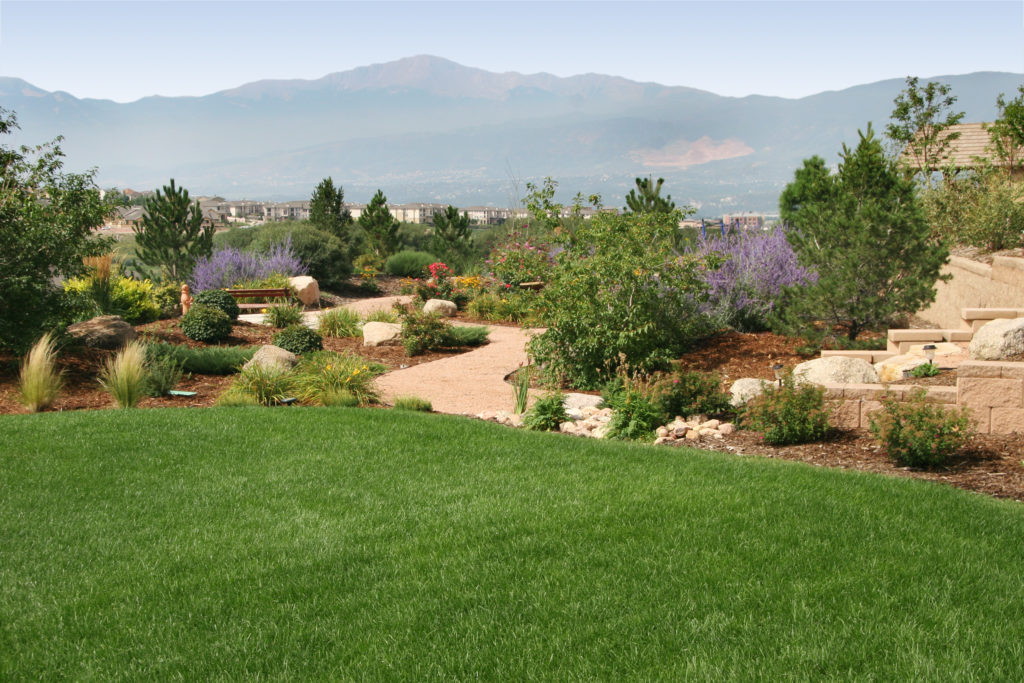 low maintenance landscaping colorado springs